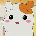 胡蔚芹
